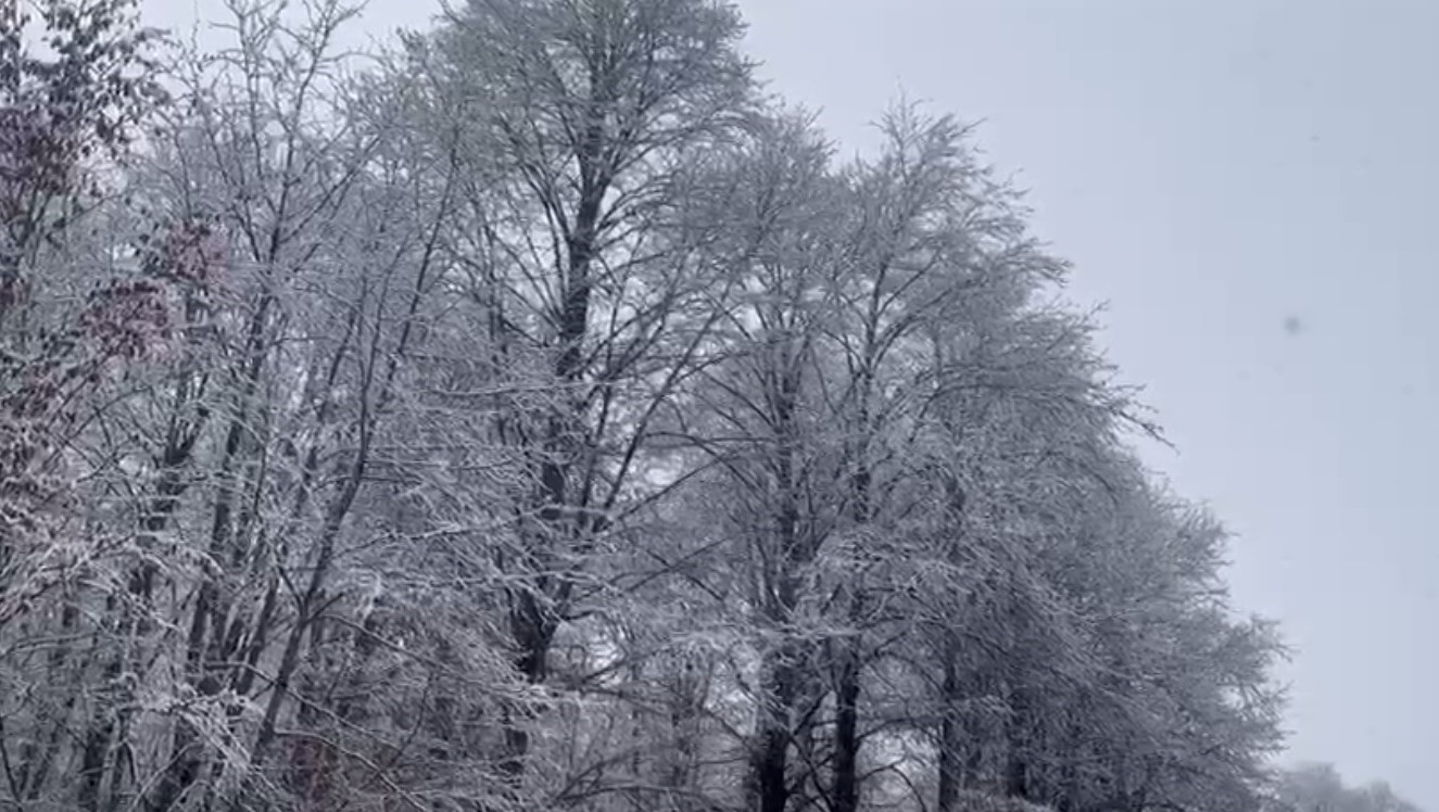 Ordu’nun yüksek kesimleri beyaza büründü
