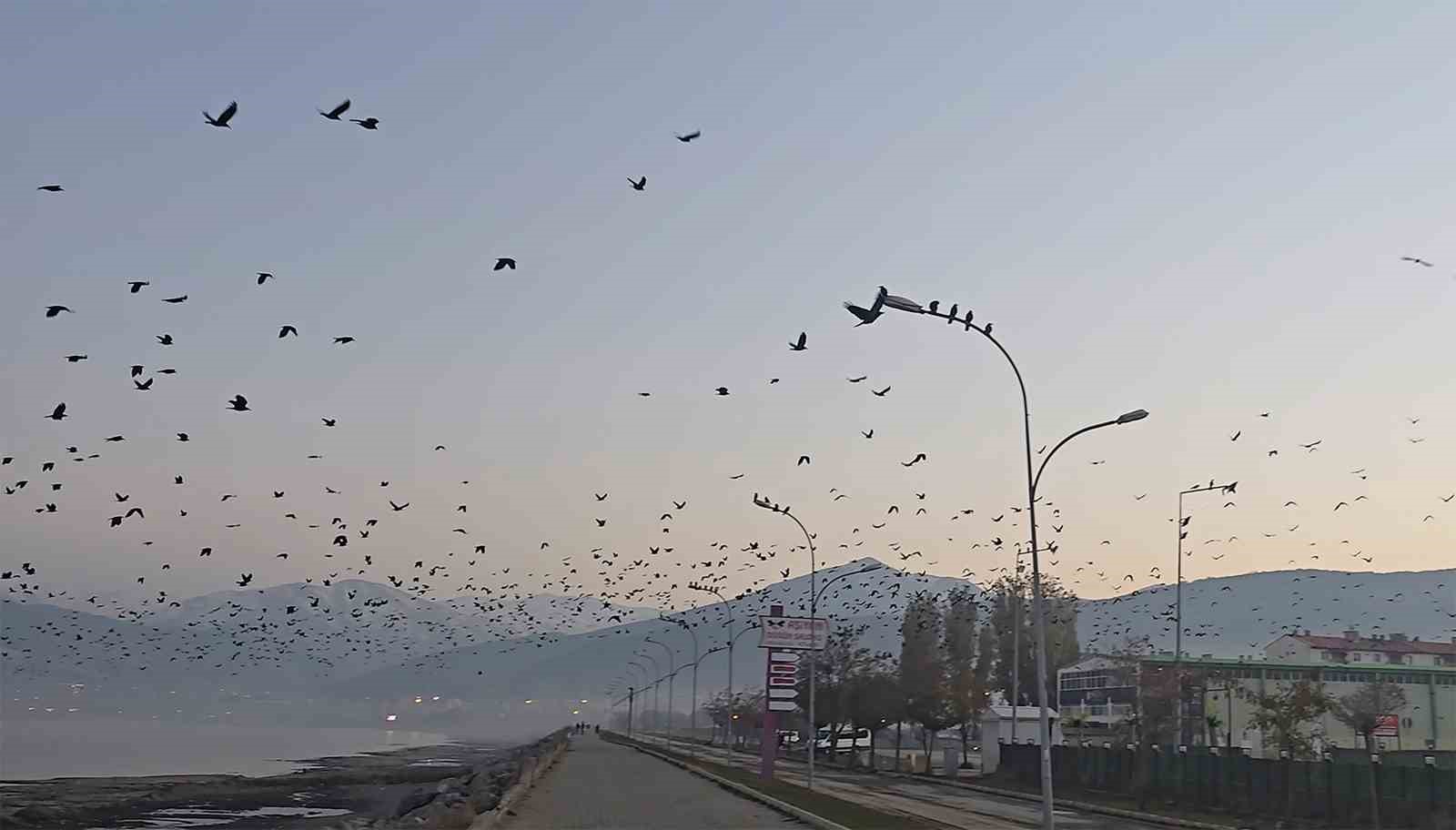 Tatvan sahilinde gökyüzünde sıra dışı manzara