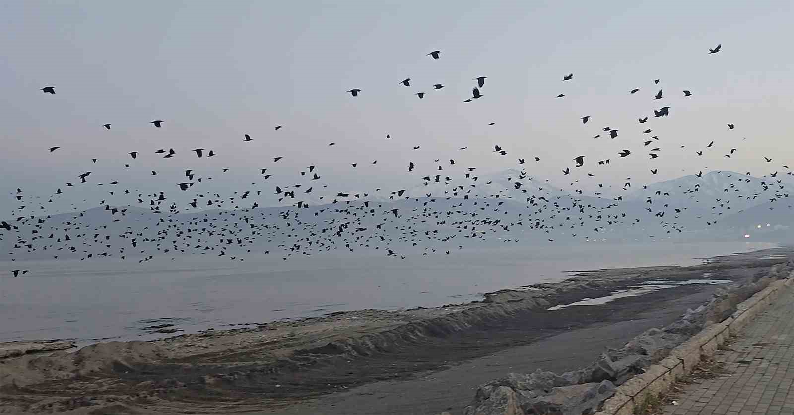 Tatvan sahilinde gökyüzünde sıra dışı manzara
