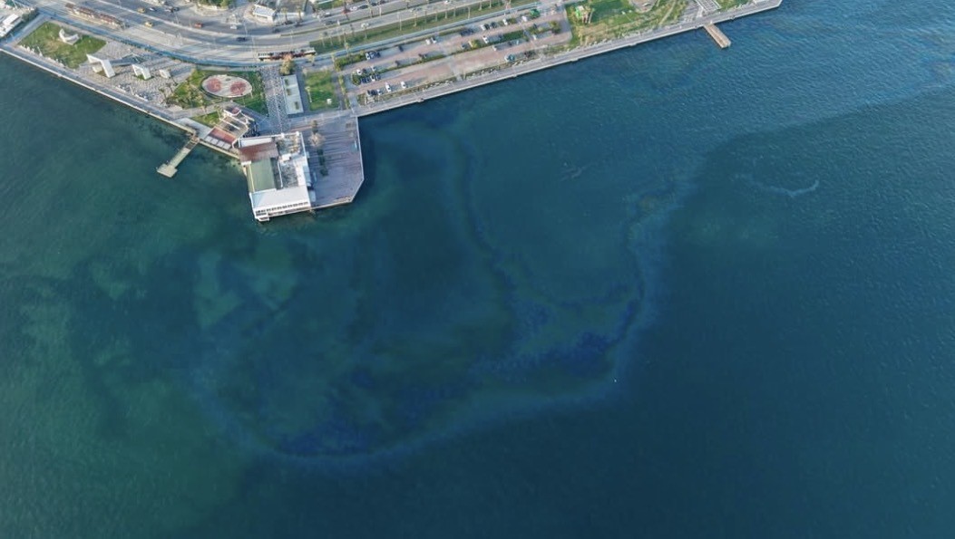 İzmir Körfezi’nde çevre kirliliği
