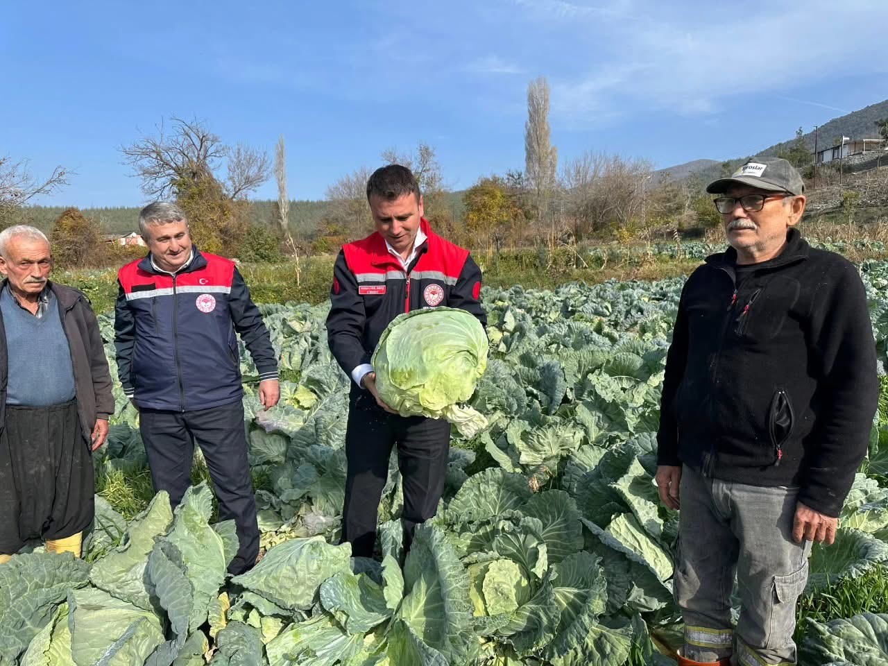 Osmaniye’de lahana hasadı yapıldı