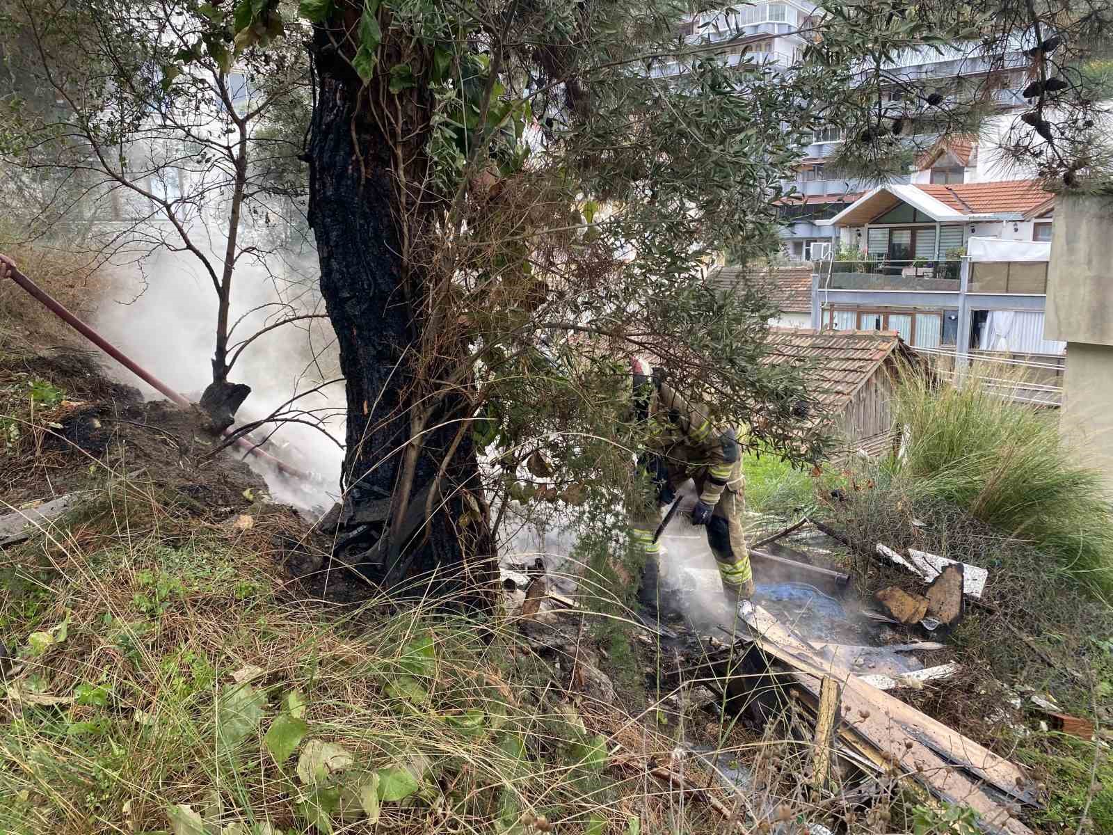 Çamlık alanda çıkan yangın büyümeden söndürüldü
