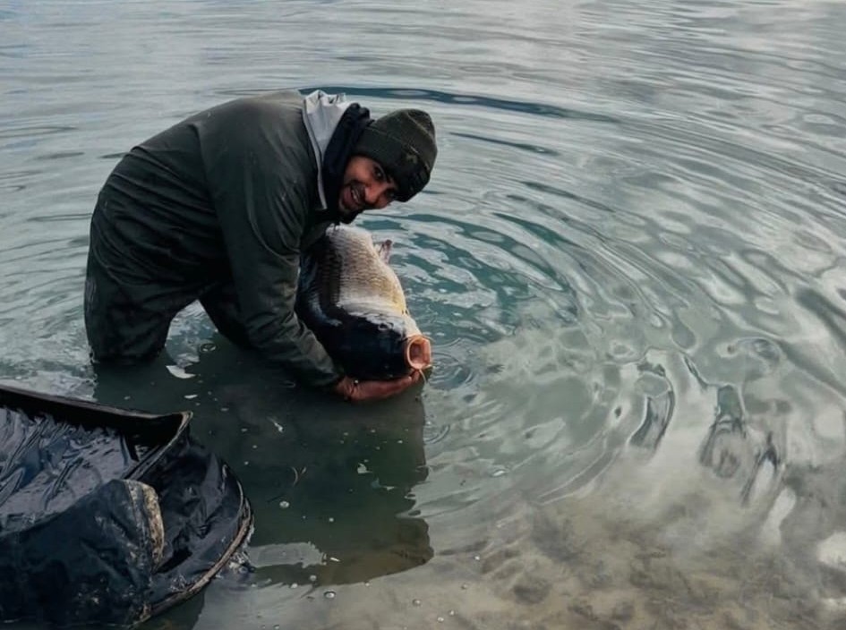 Yakaladıkları dev gibi sazan balığını suya geri bıraktılar