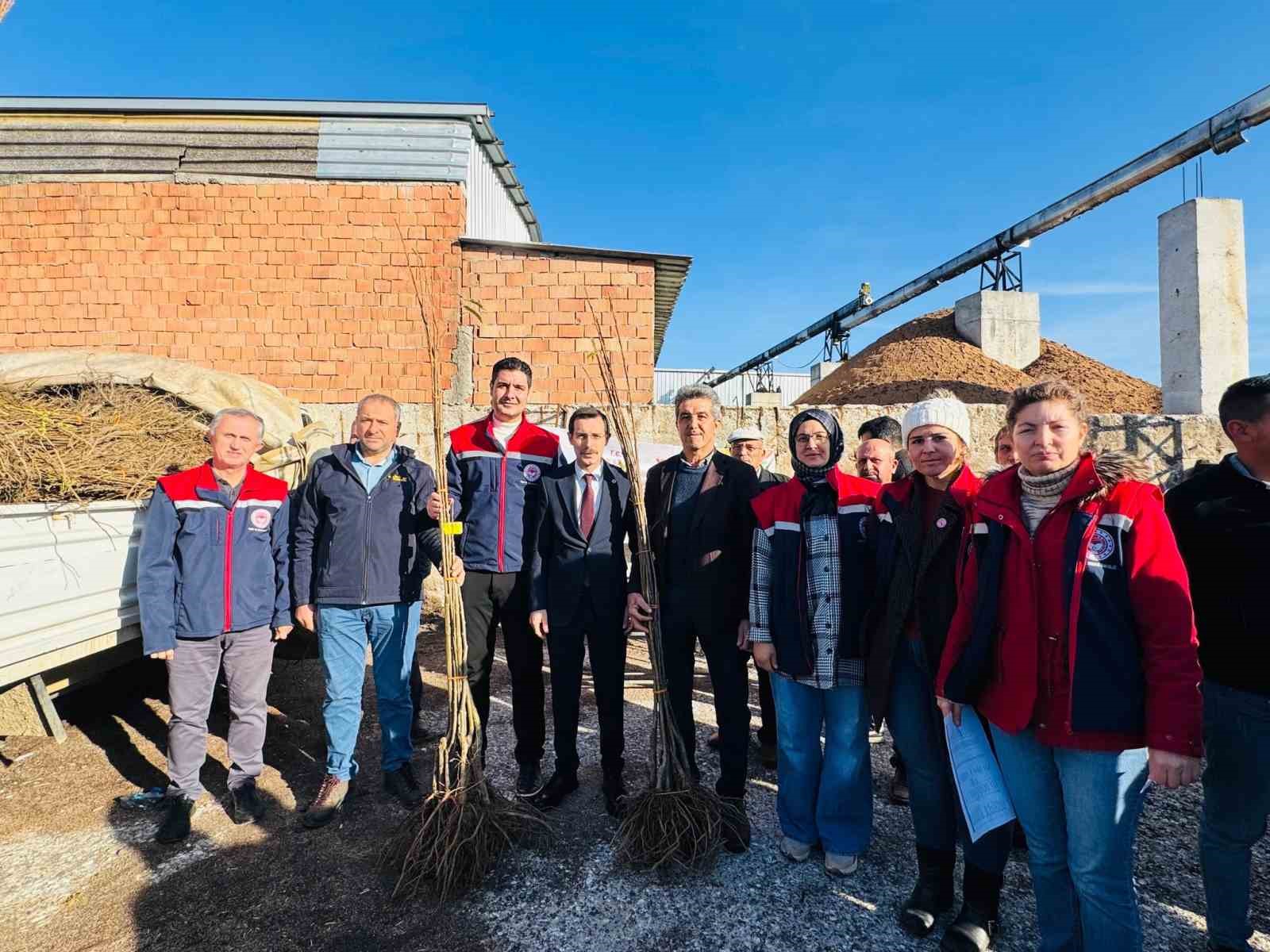 Bozdoğan’da 8 bin 700 adet fidan dağıtıldı