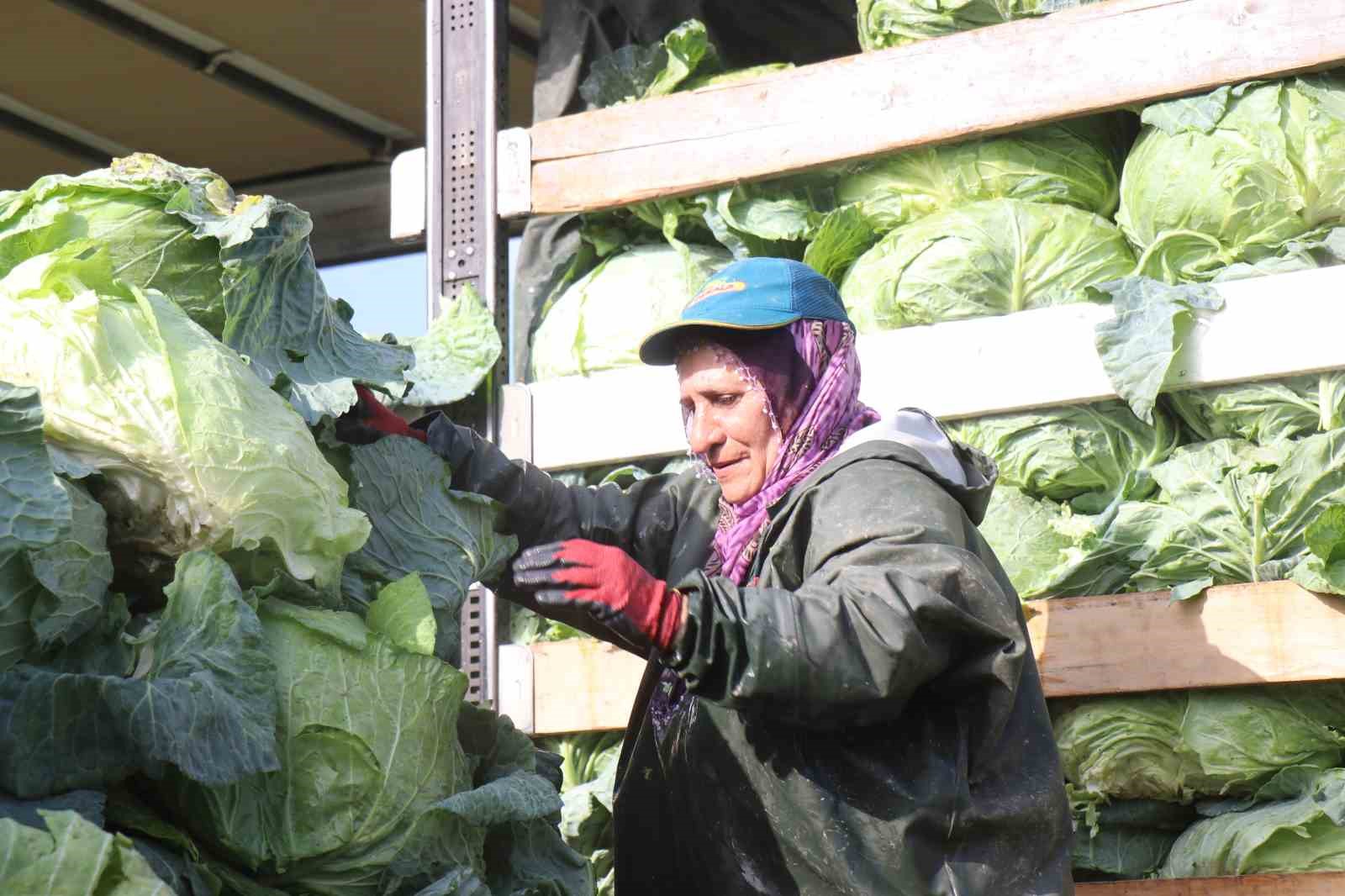 Hasadın y&uuml;k&uuml;n&uuml; kadınlar taşıyor: Yağmur, &ccedil;amur demeden bin bir zorluklarla &ccedil;alışıyorlar
