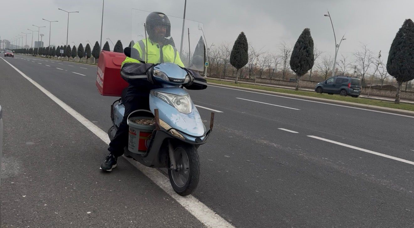 Sokak hayvanlarının sessiz kahramanı