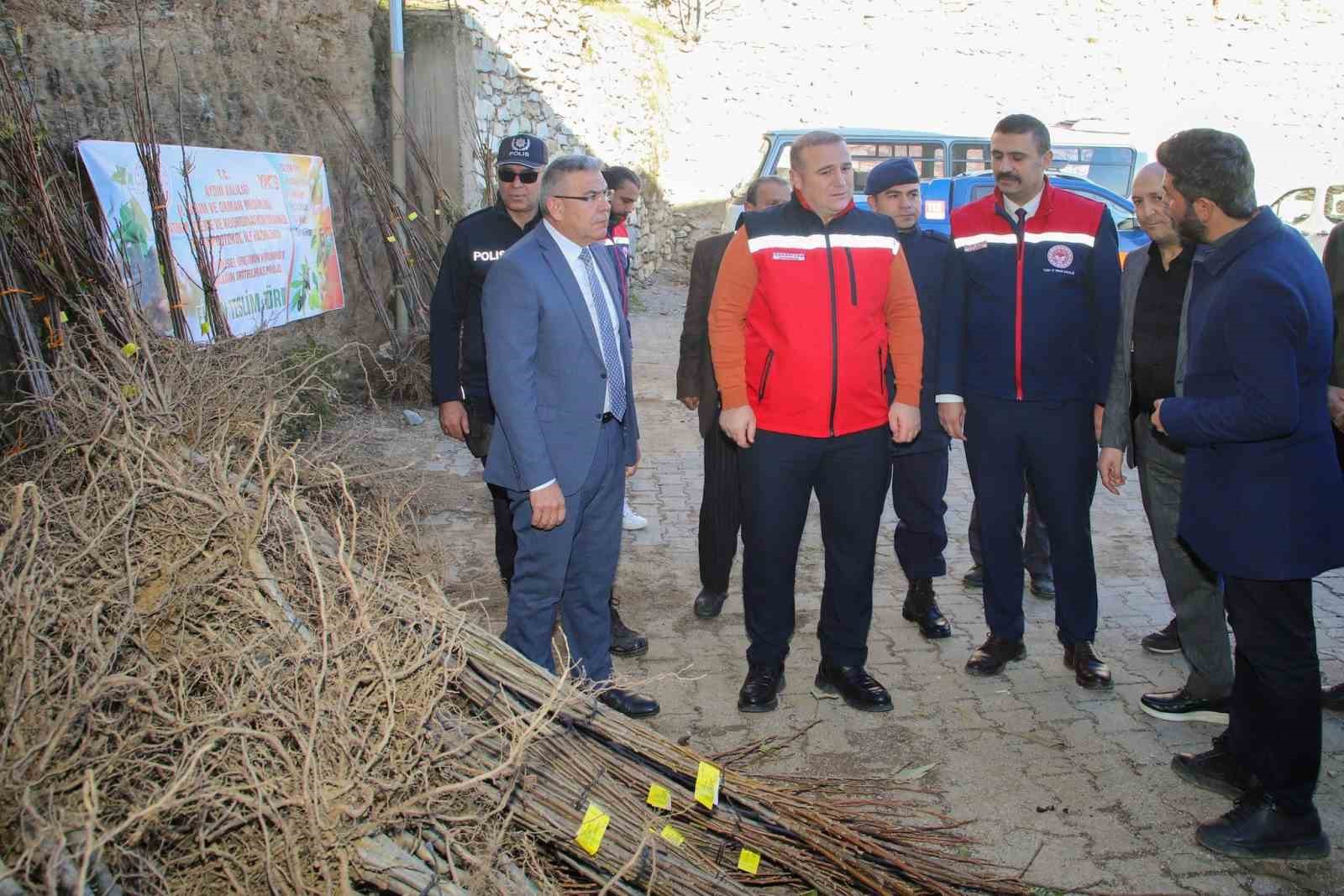 Köşklü üreticilere kestane fidanı dağıtıldı