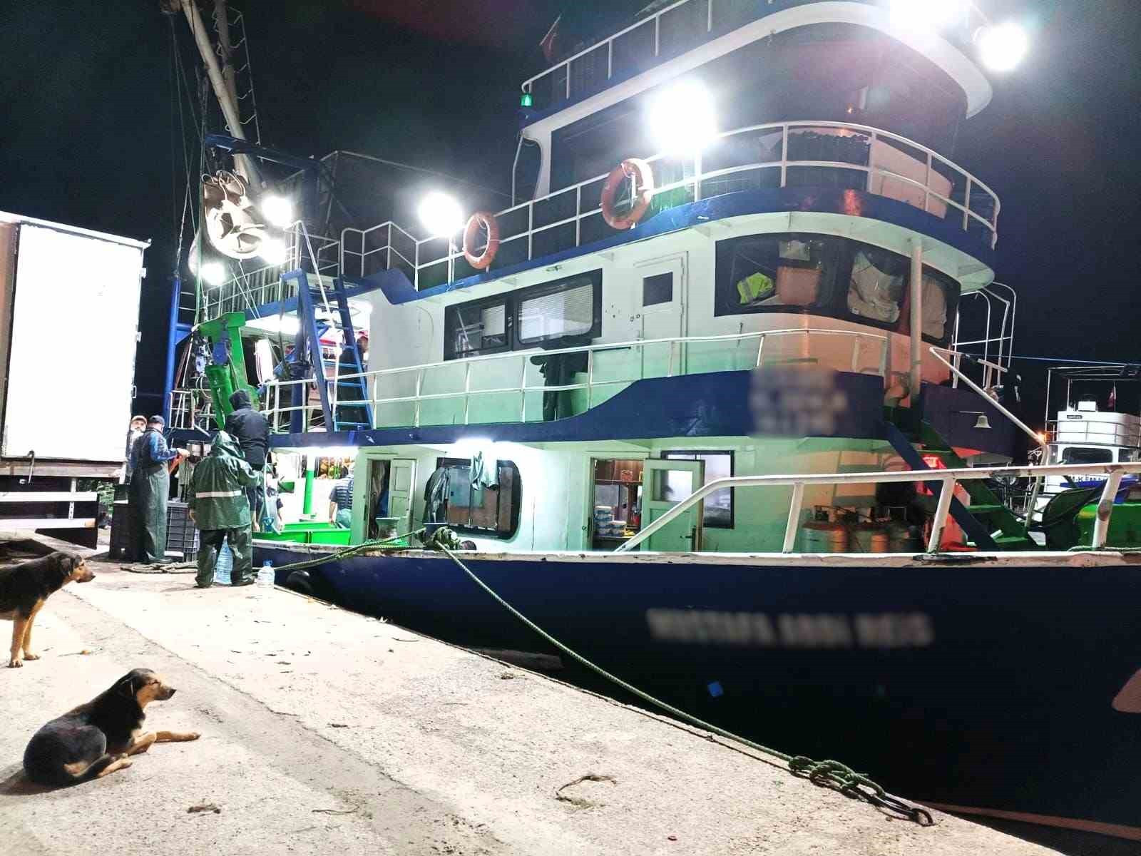 Demirk&ouml;y&rsquo;de hamsi denetimi
