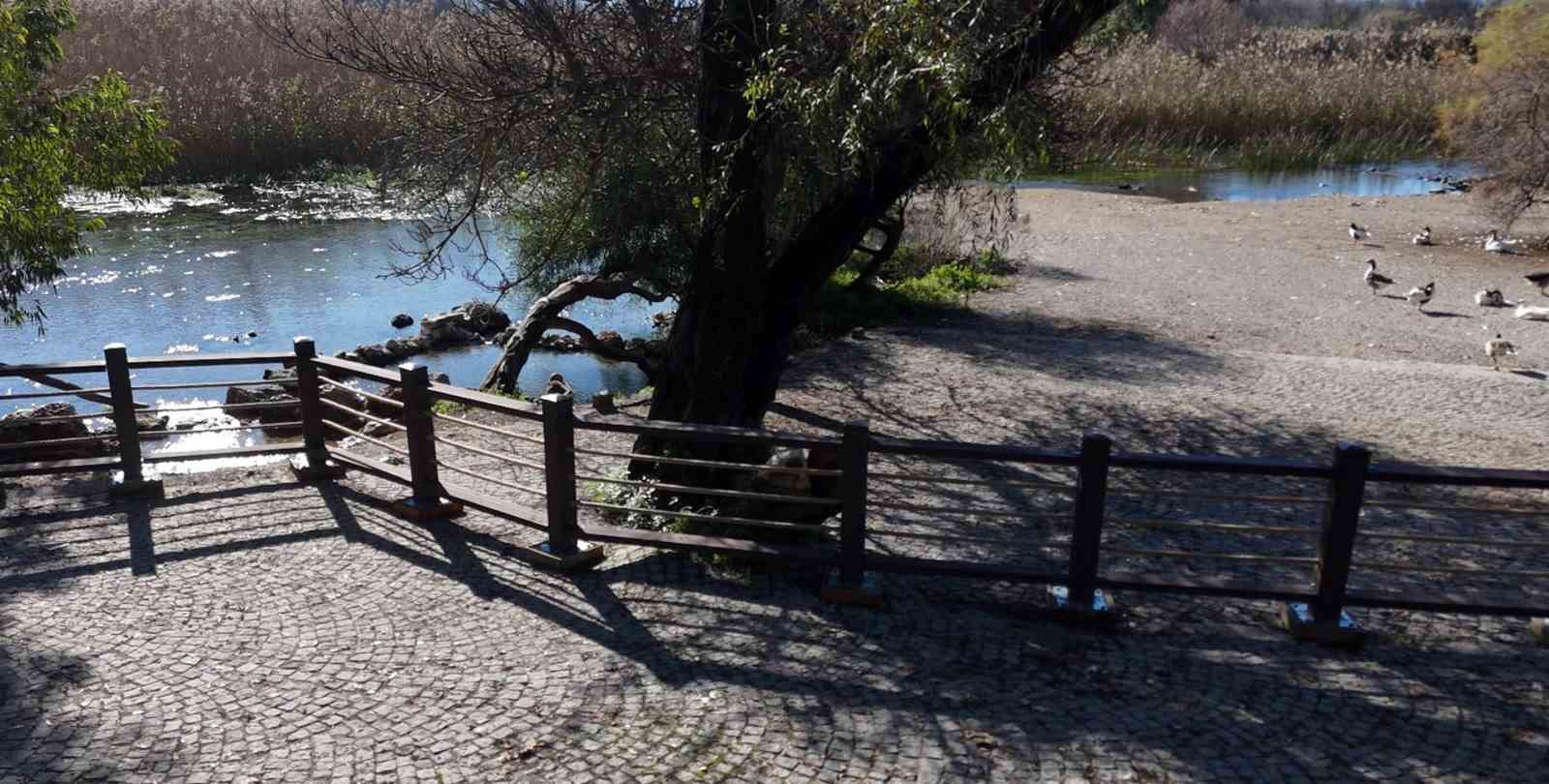 Akyaka Kadın Azmağında doğal dokuyu koruyan çalışma tamamlandı