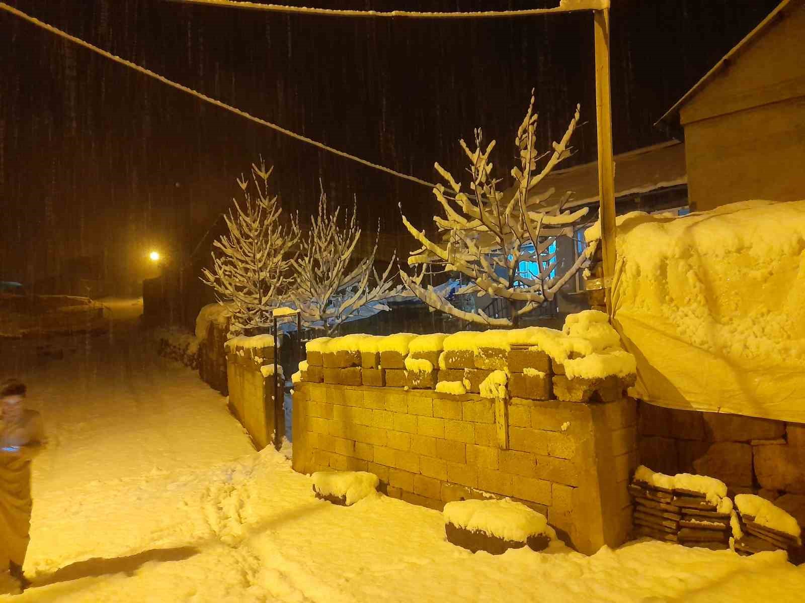 Ahlat’ta kar yağışı