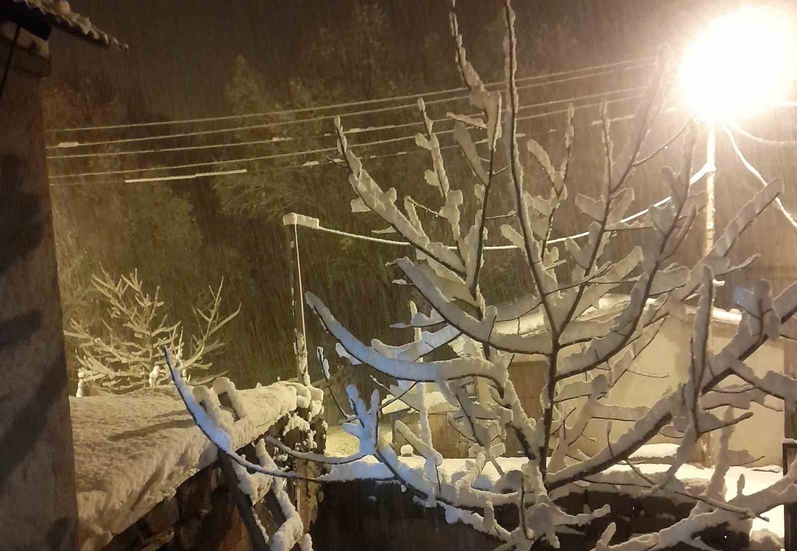 Ahlat’ta kar yağışı