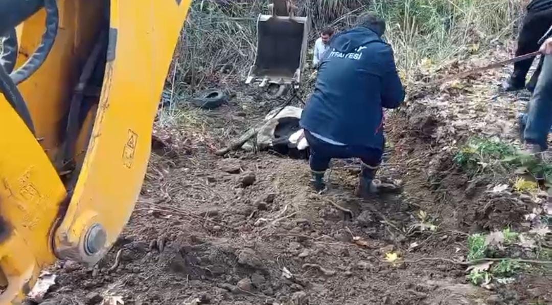 Hatay’da dereye düşen inek itfaiye ekipleri tarafından kurtarıldı