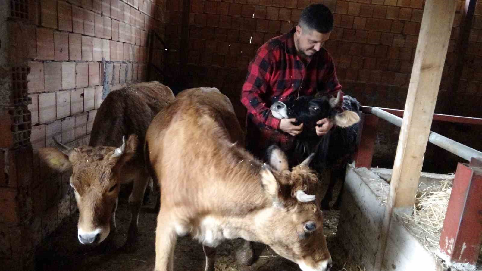 Almanya’dan köyüne döndü, çobanlık yapmaya başladı