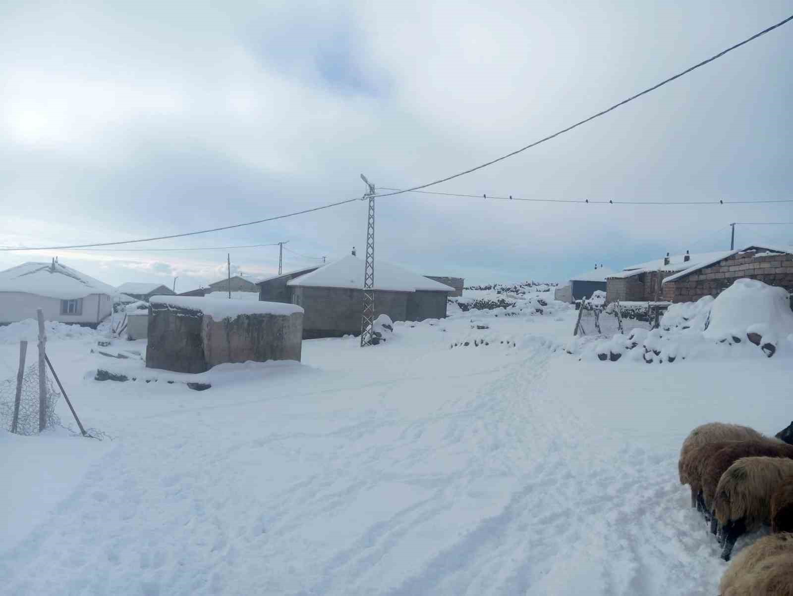 Karla birlikte Türkiye’nin en yüksek köyü Kışkılı’da besiciler zor durumda kaldı
