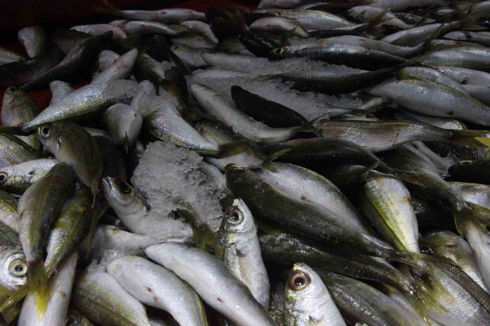 Bozdoğan’da balık tezgahlarının en çok tercih edilen çeşidi hamsi oldu