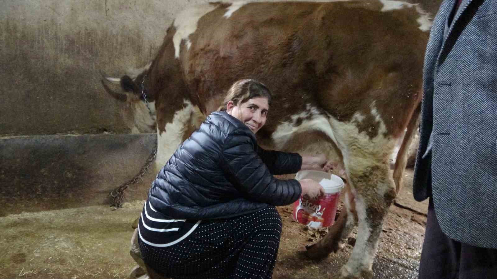 8 erkek adayı geride bırakan kadın muhtar: Hem hayvancılık yapıyor hem mahallesini y&ouml;netiyor
