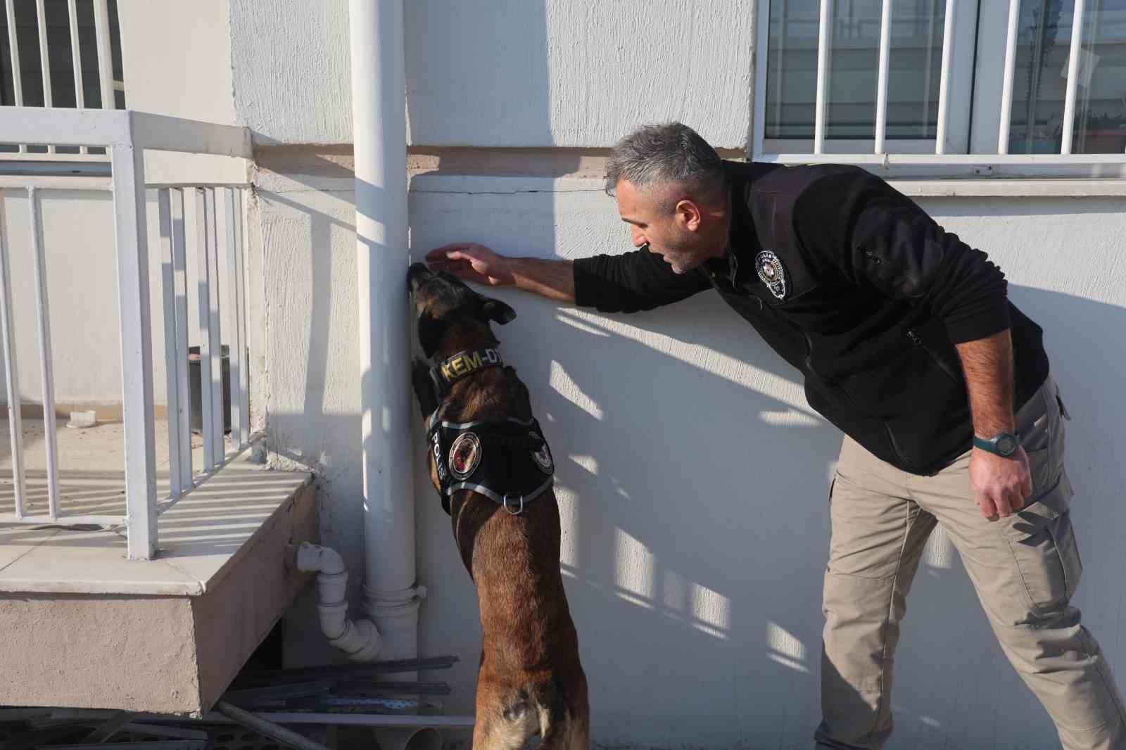 Uyuşturucu tacirlerinin ‘Bulamazlar’ dedikleri zulaları burunları ile patlatıyorlar
