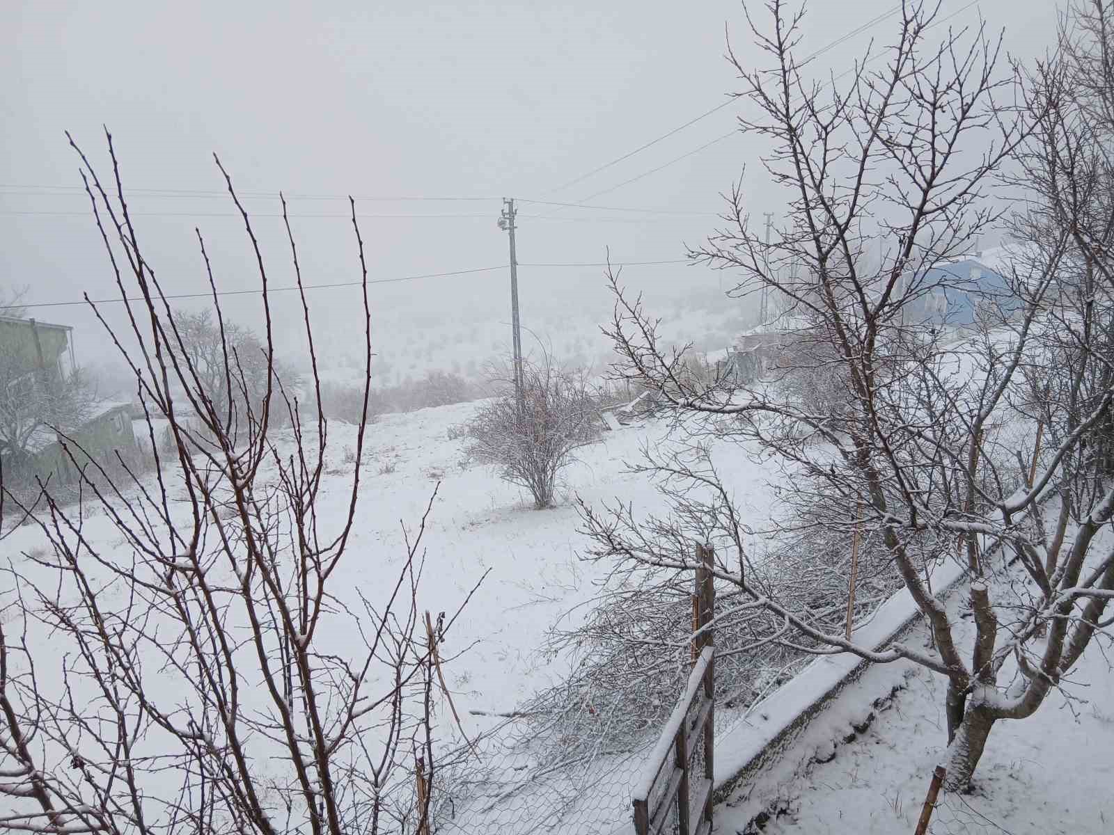 Posof’ta kar yağışı etkili oluyor