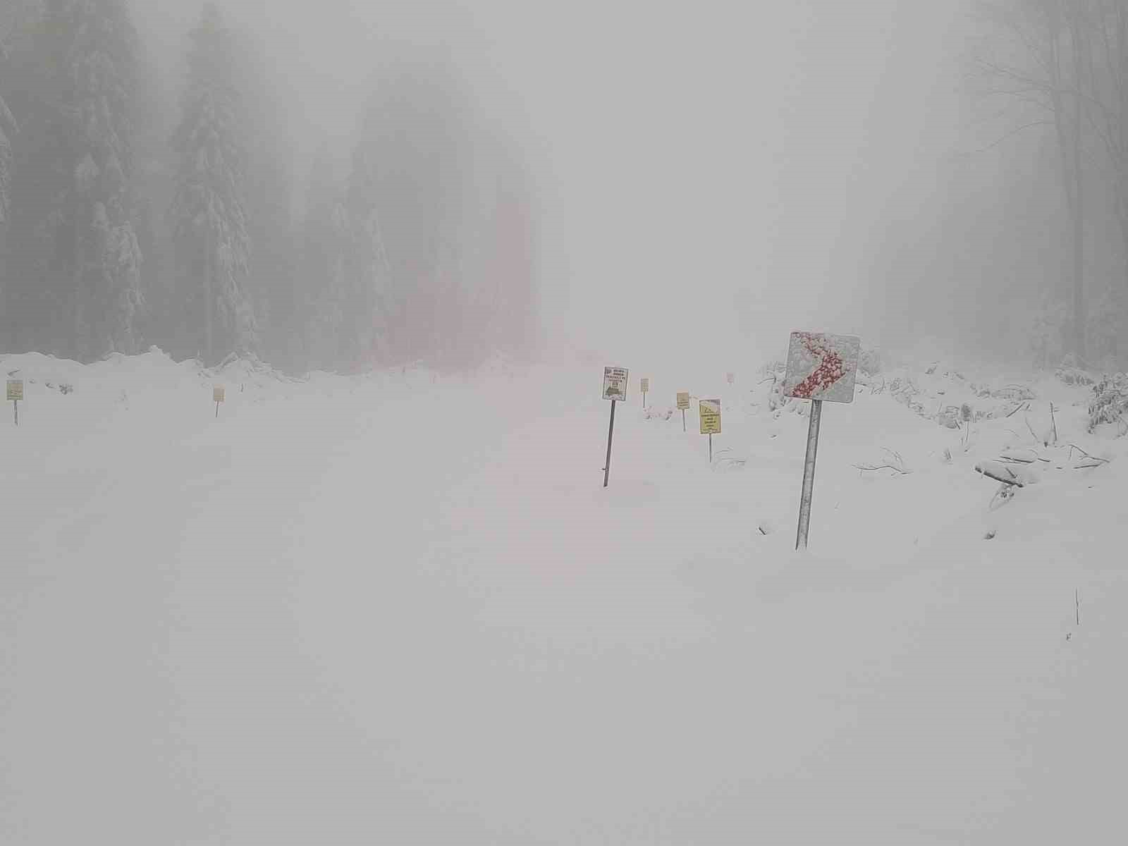 Kastamonu’da kar yağışı etkili oldu