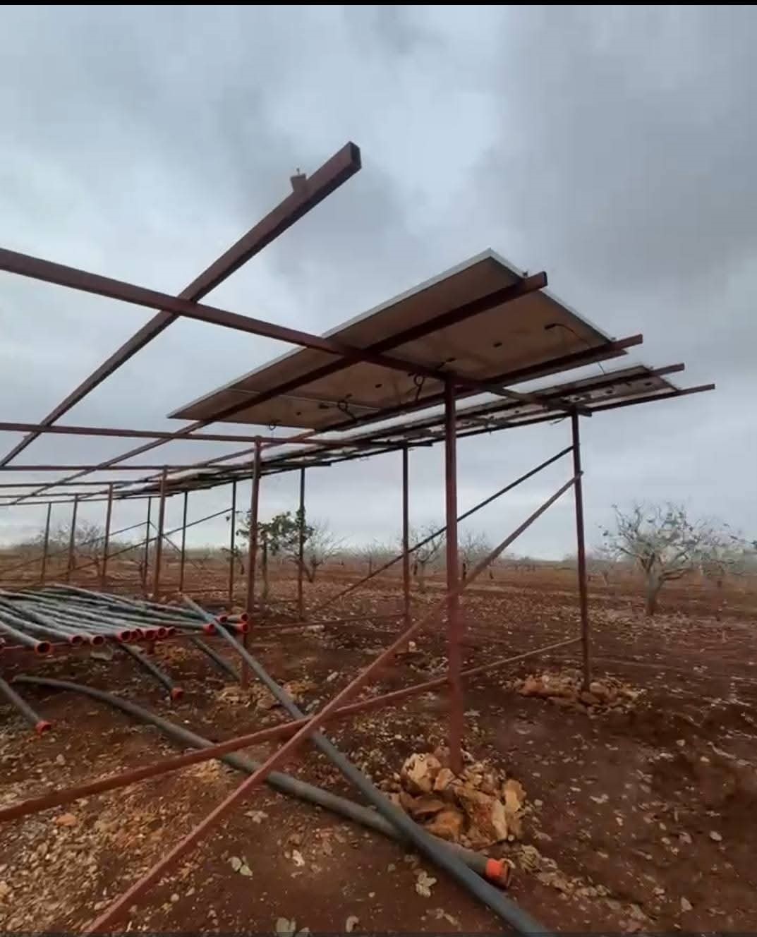 Şanlıurfa’da hırsızlar sisli havada güneş enerjisi panellerine dadandı