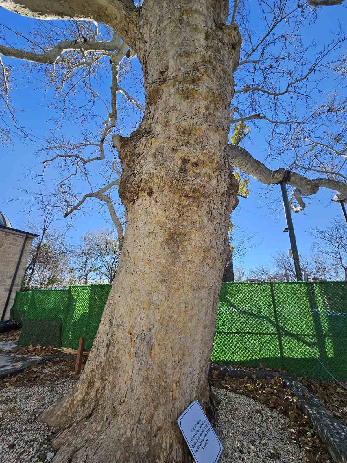 Harput&rsquo;un 3 asırlık &ccedil;ınarı yıllara meydan okuyor
