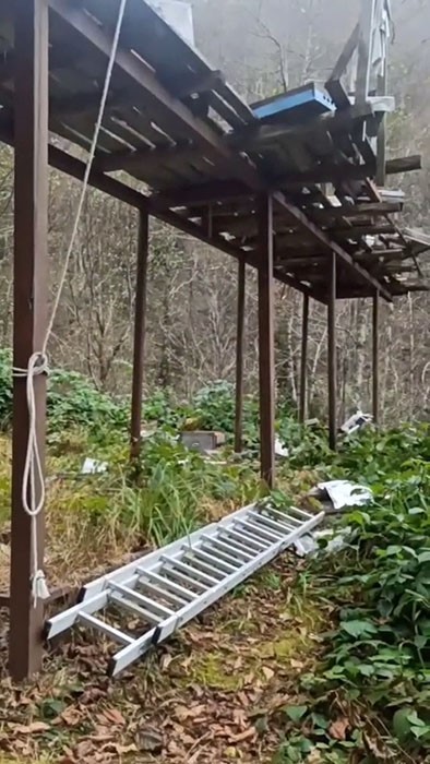 Rize’de ayılara demir profilli tezgah da çare olmadı