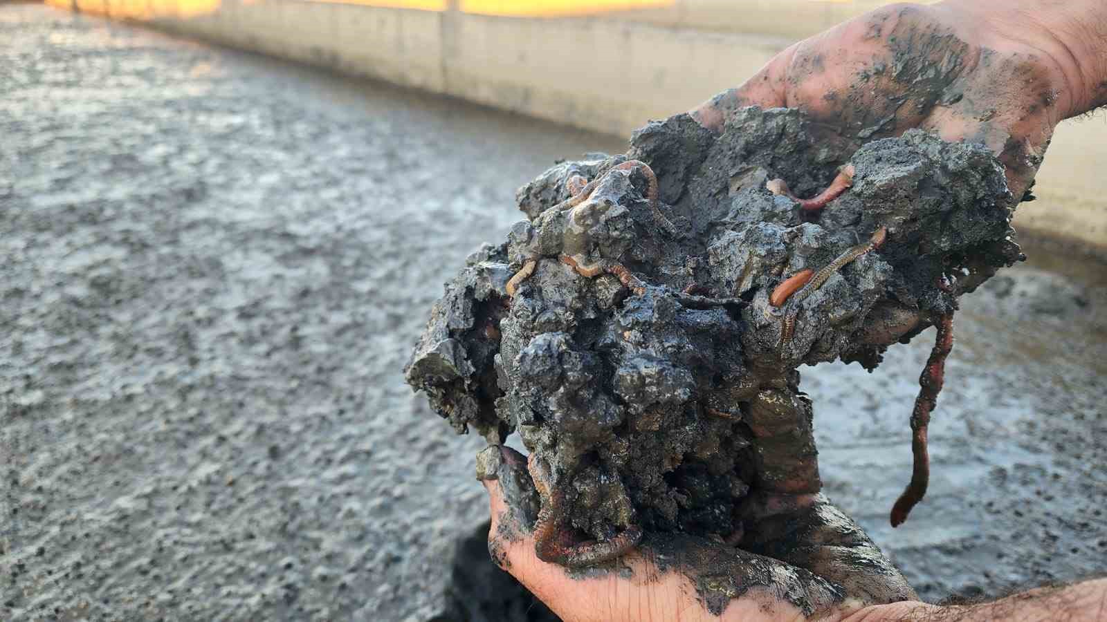 &Ccedil;anakkale&rsquo;deki deniz solucanları yetiştiriciliği tesisi sekt&ouml;rde tek
