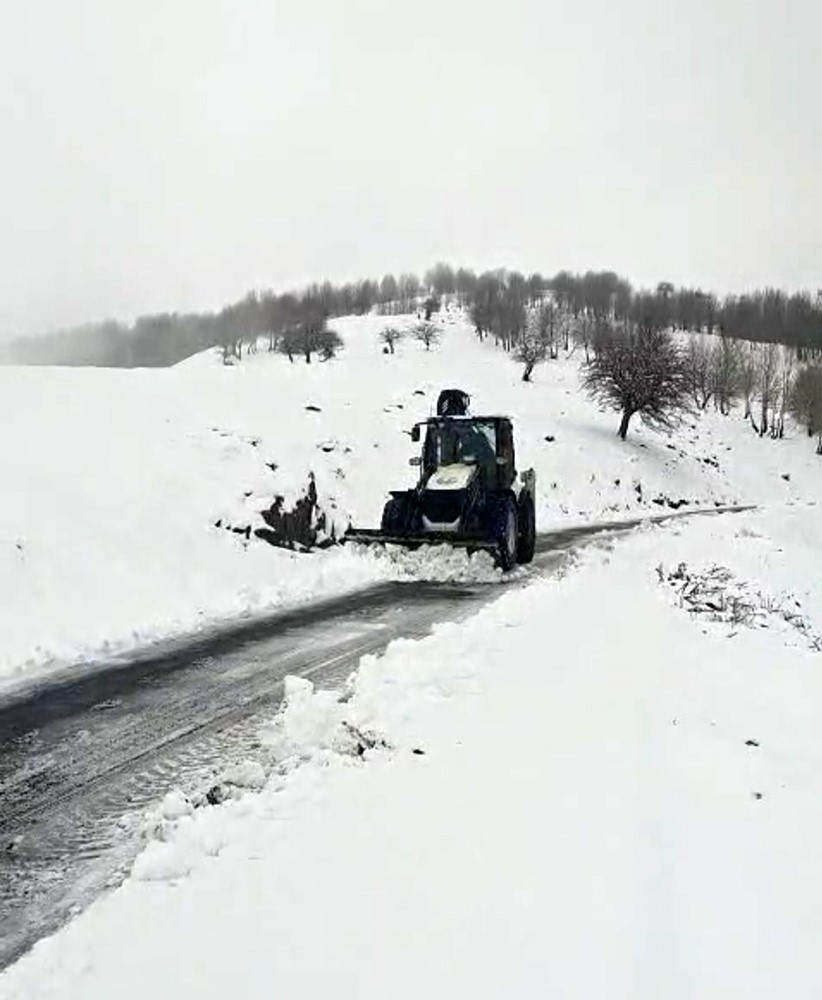 Muş&rsquo;ta kar ve tipi nedeniyle kapanan 26 yerleşim yeri ulaşıma a&ccedil;ıldı
