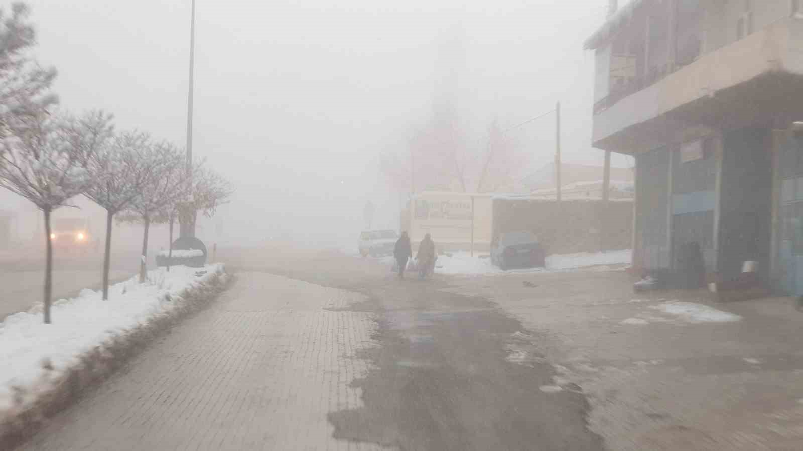 Başkale’de sis etkili oldu