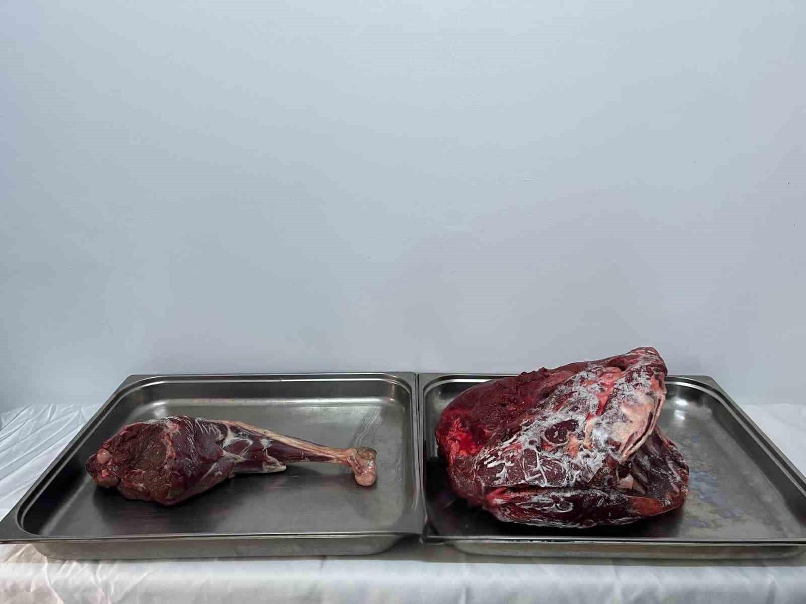 Karaman’da yaban keçisi avlayan şahıslara 954 bin 208 lira ceza