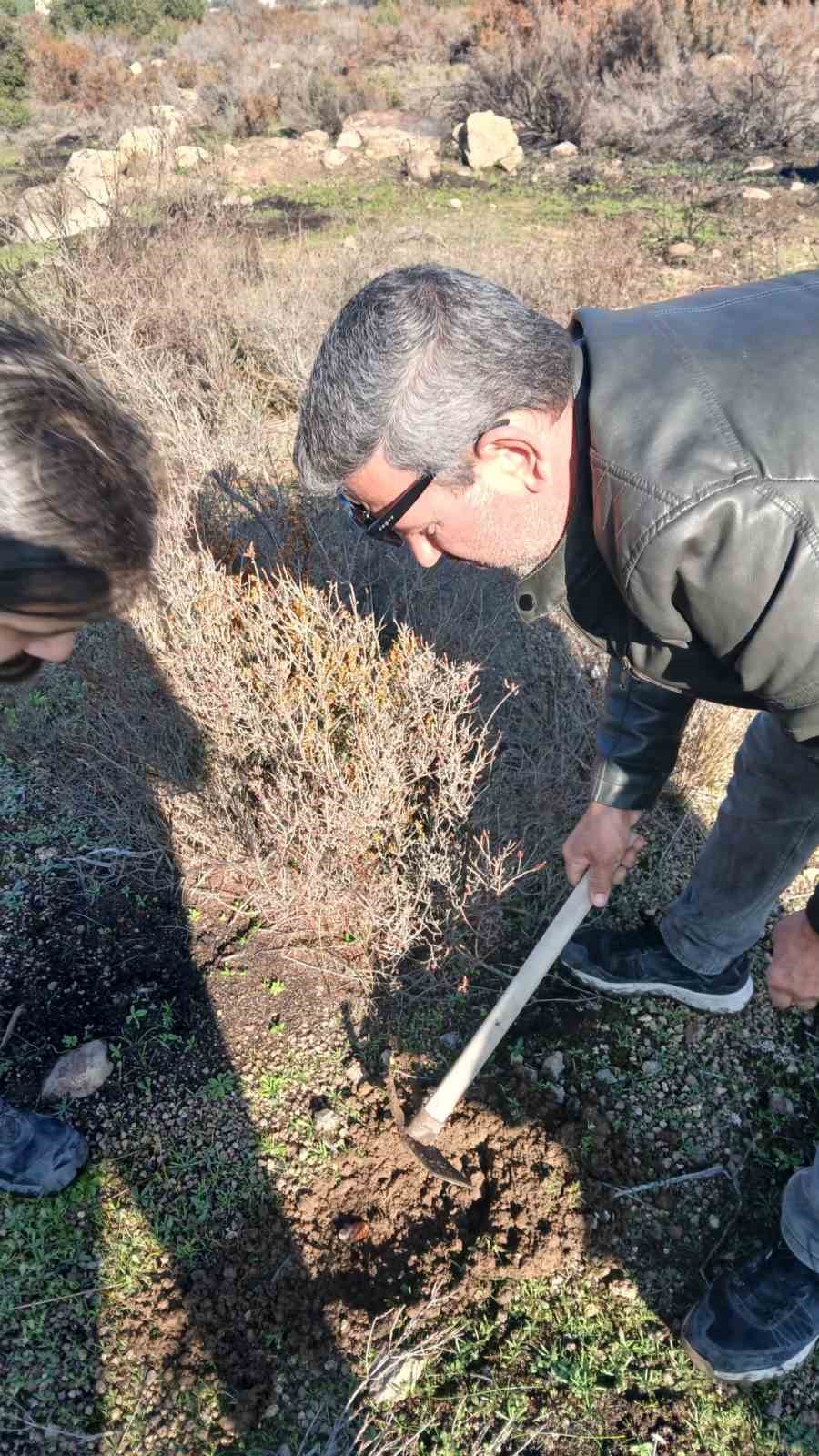 Urla&rsquo;da yanan orman i&ccedil;in umut yeşerdi: 500 meşe palamudu toprakla buluştu
