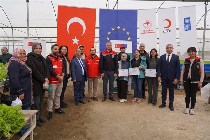 Adana’da topraksız marul yetiştiriciliği başladı