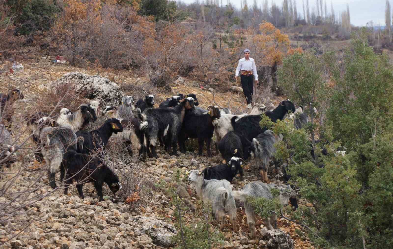 18 yaşındaki Yusuf söylediği manilerle ilgi odağı oldu