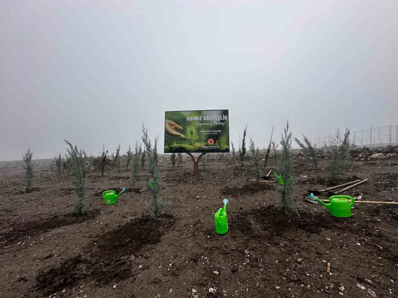 Baybatur’dan yanan orman alanlarına bin fidan