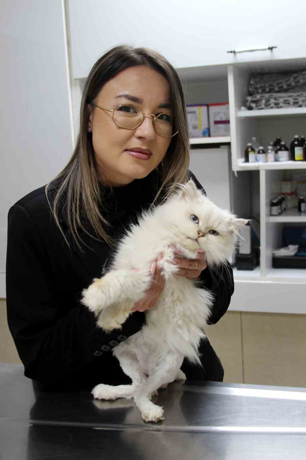 Kedide d&uuml;nyada g&ouml;r&uuml;lmemiş anomali: Başarılı operasyonla sağlığına kavuştu
