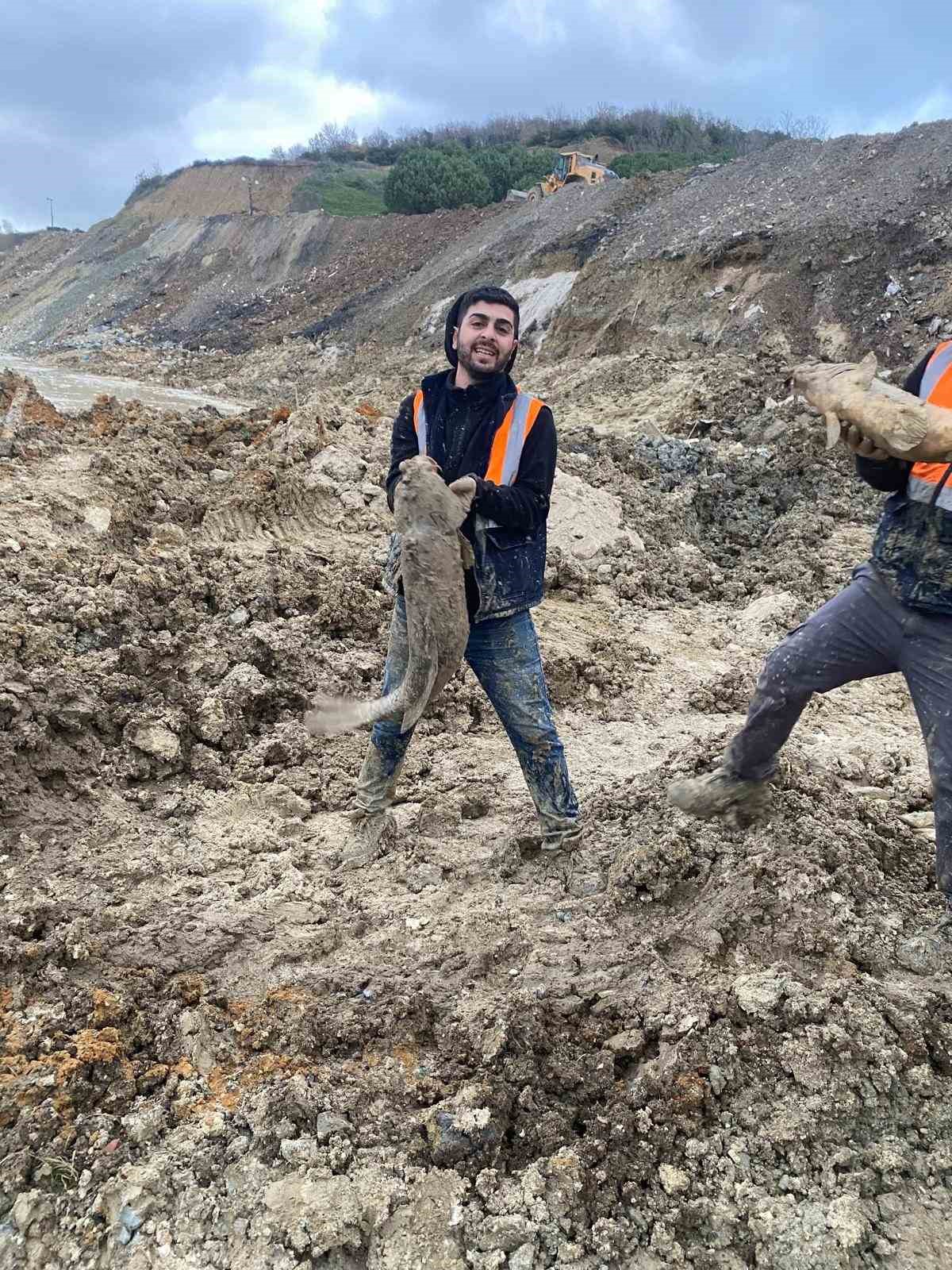 Arnavutköy’de İBB’nin döküm sahasına çevirdiği Mavi Göl’de balıklar can çekişiyor