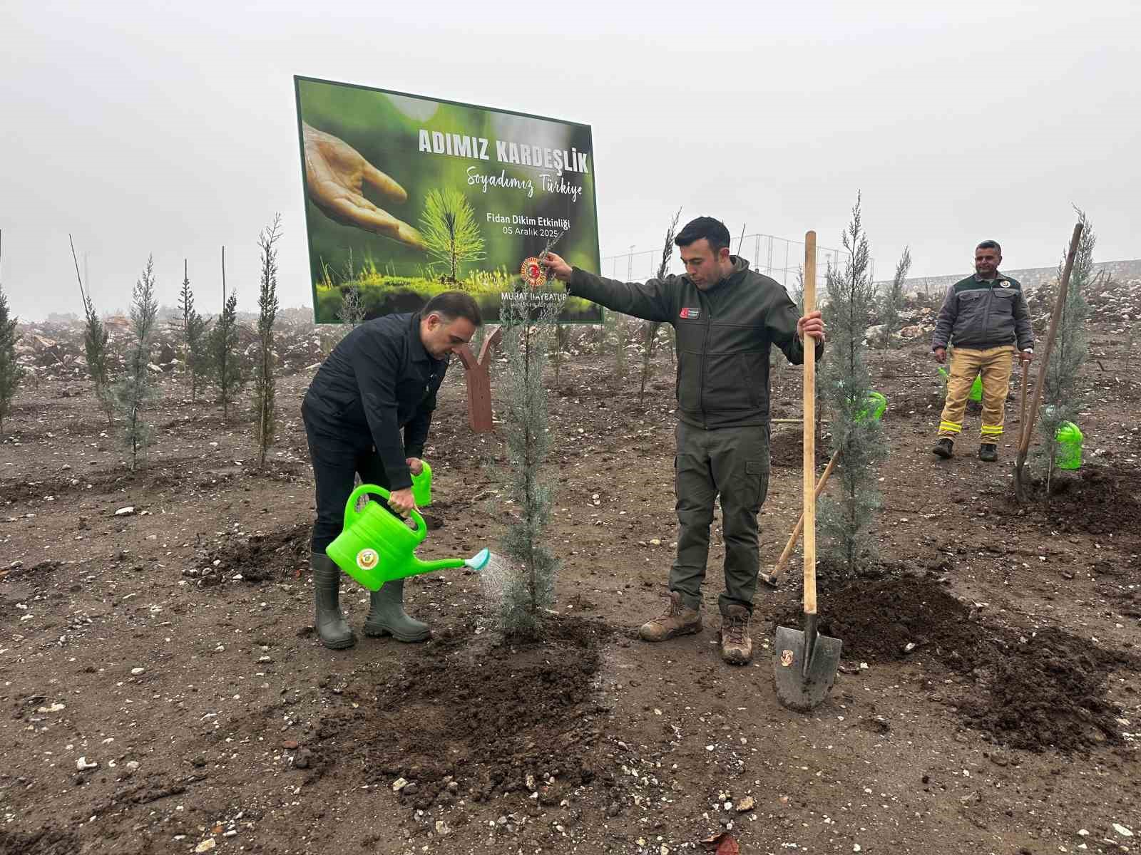 Baybatur’dan yanan orman alanlarına bin fidan
