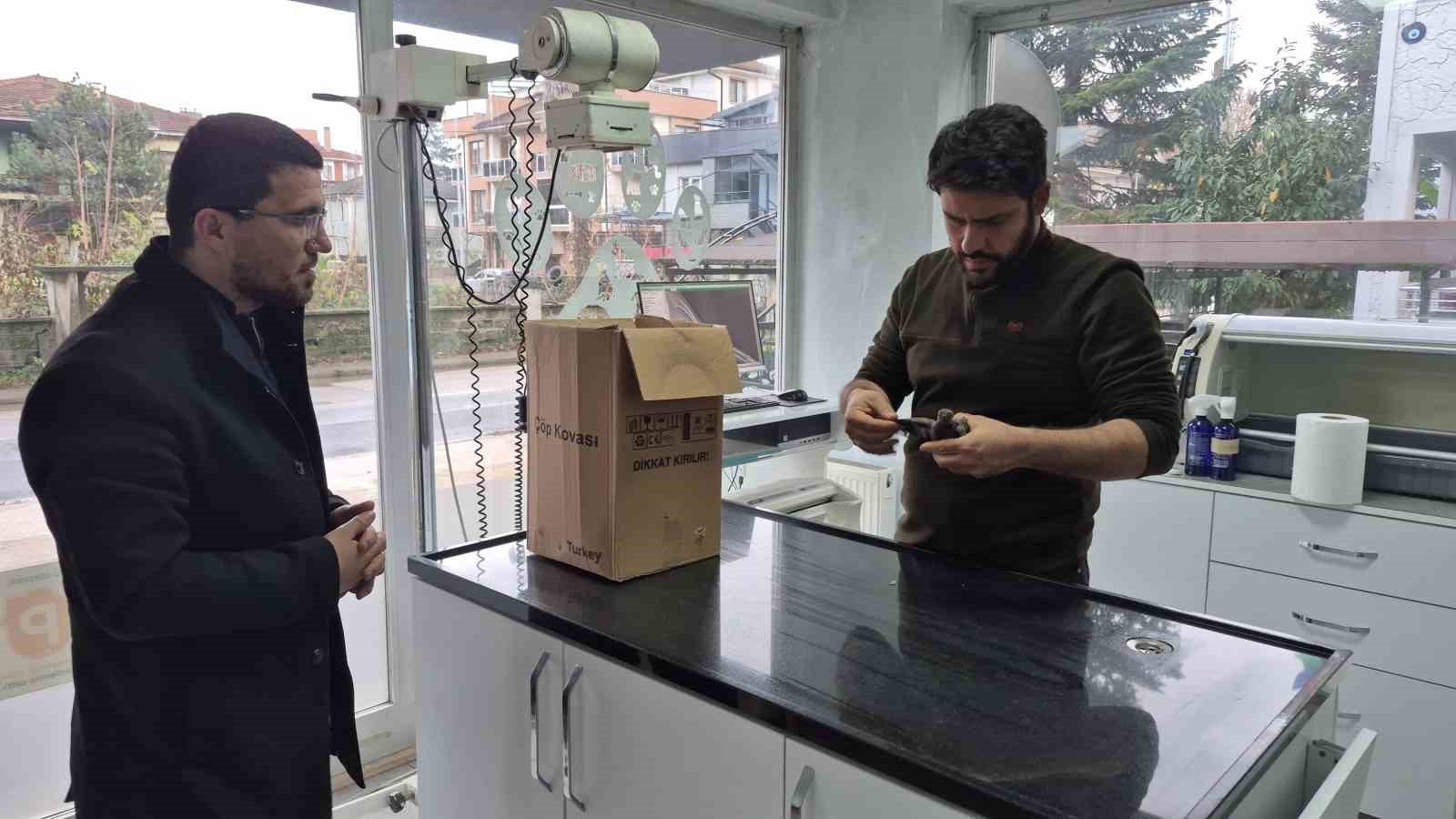 Duyarlı vatandaştan &ouml;rnek davranış: Yolda bulduğu kumruya su verip veterinere teslim etti
