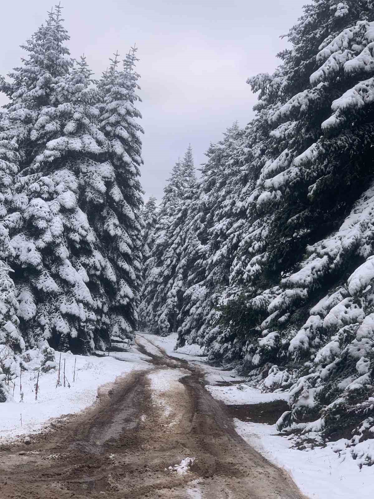 Bolu’nun yükseklerinde kar kalınlığı 10 santimetreye ulaştı