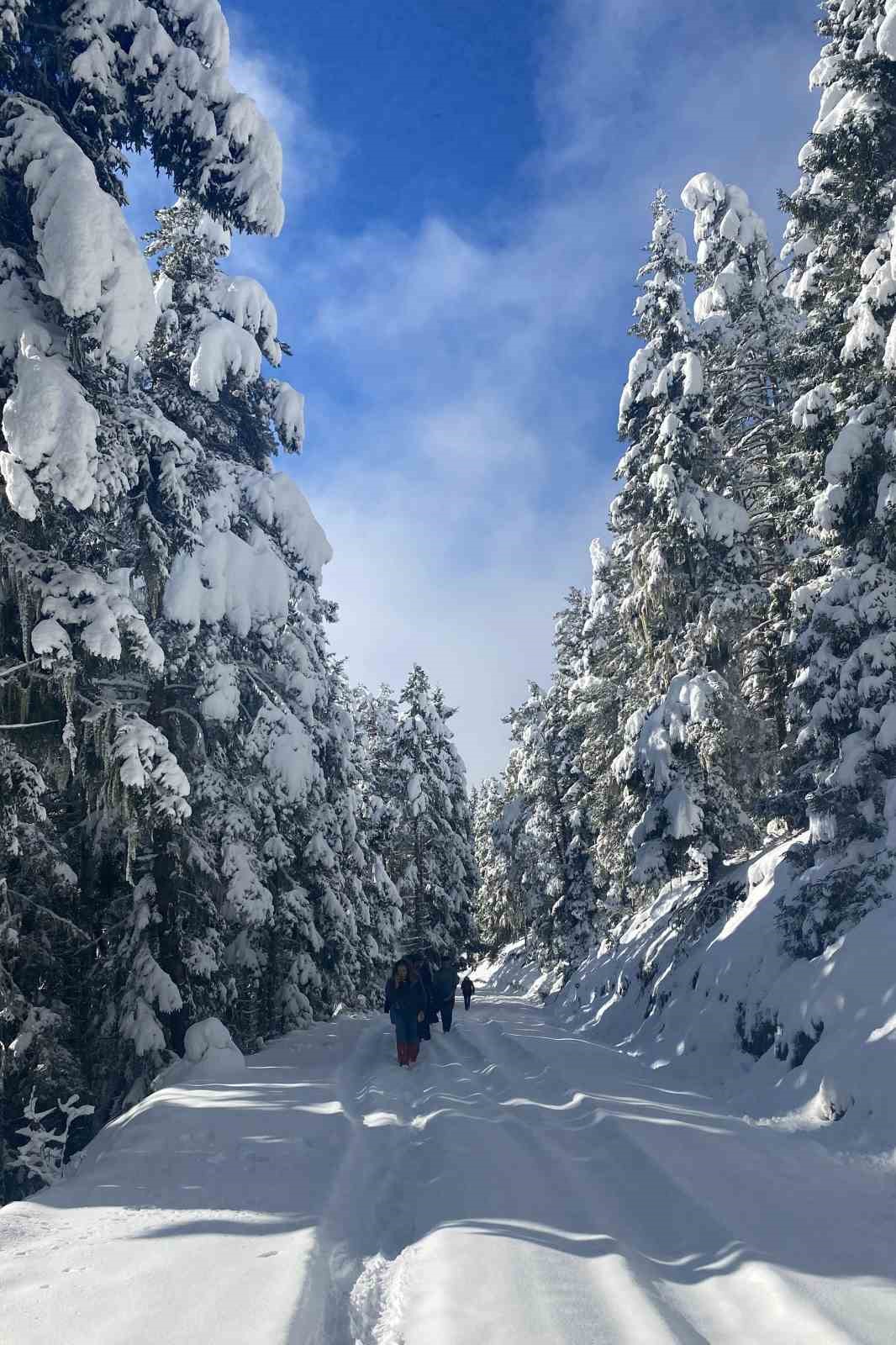 Gümüşhane’de kartpostallık manzara eşliğinde doğa yürüyüşü
