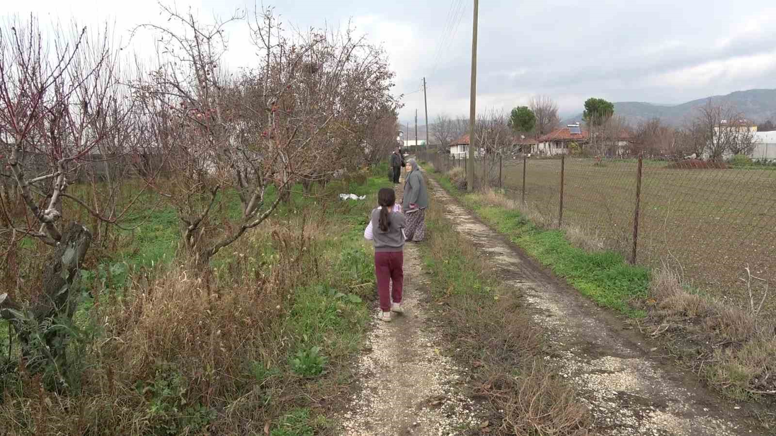 Amasyalı Feruziye nine serada kışın üzüm yetiştirip satıyor