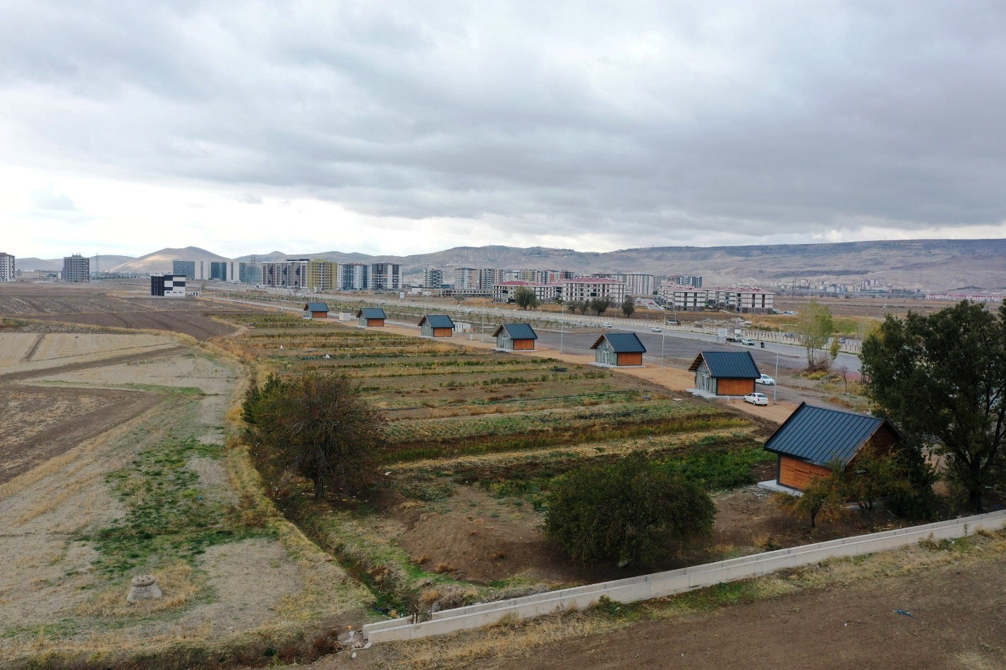 Başkan Çolakbayrakdar: "Kayseri’mizde bir ilk olan şehir merkezi tarımıyla geleceği inşa ediyoruz"
