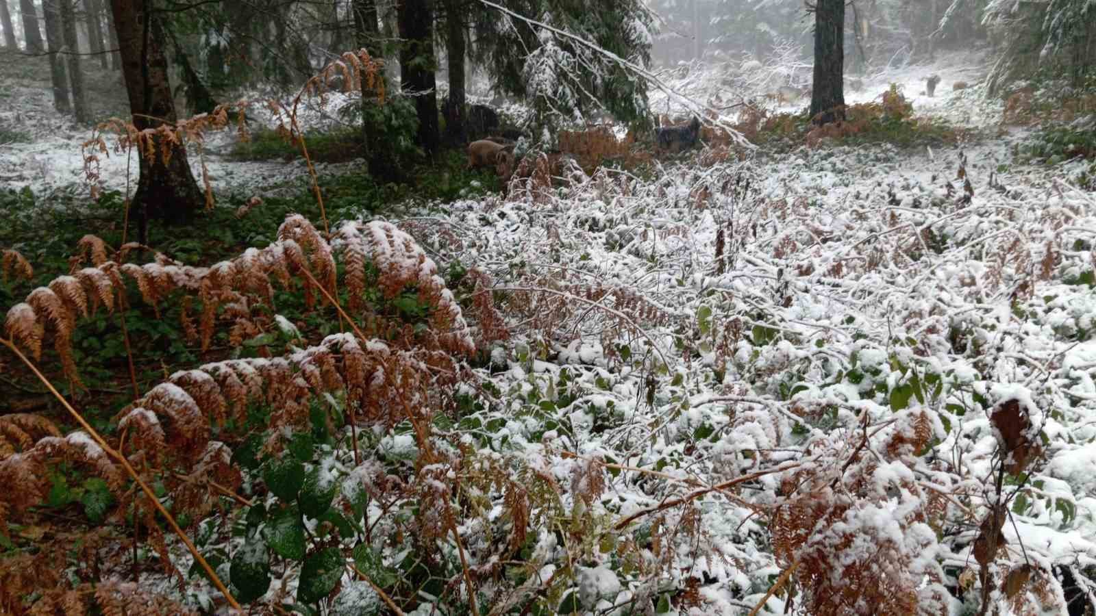 Sakarya’nın yüksek kesimleri beyaz örtüyle kaplandı
