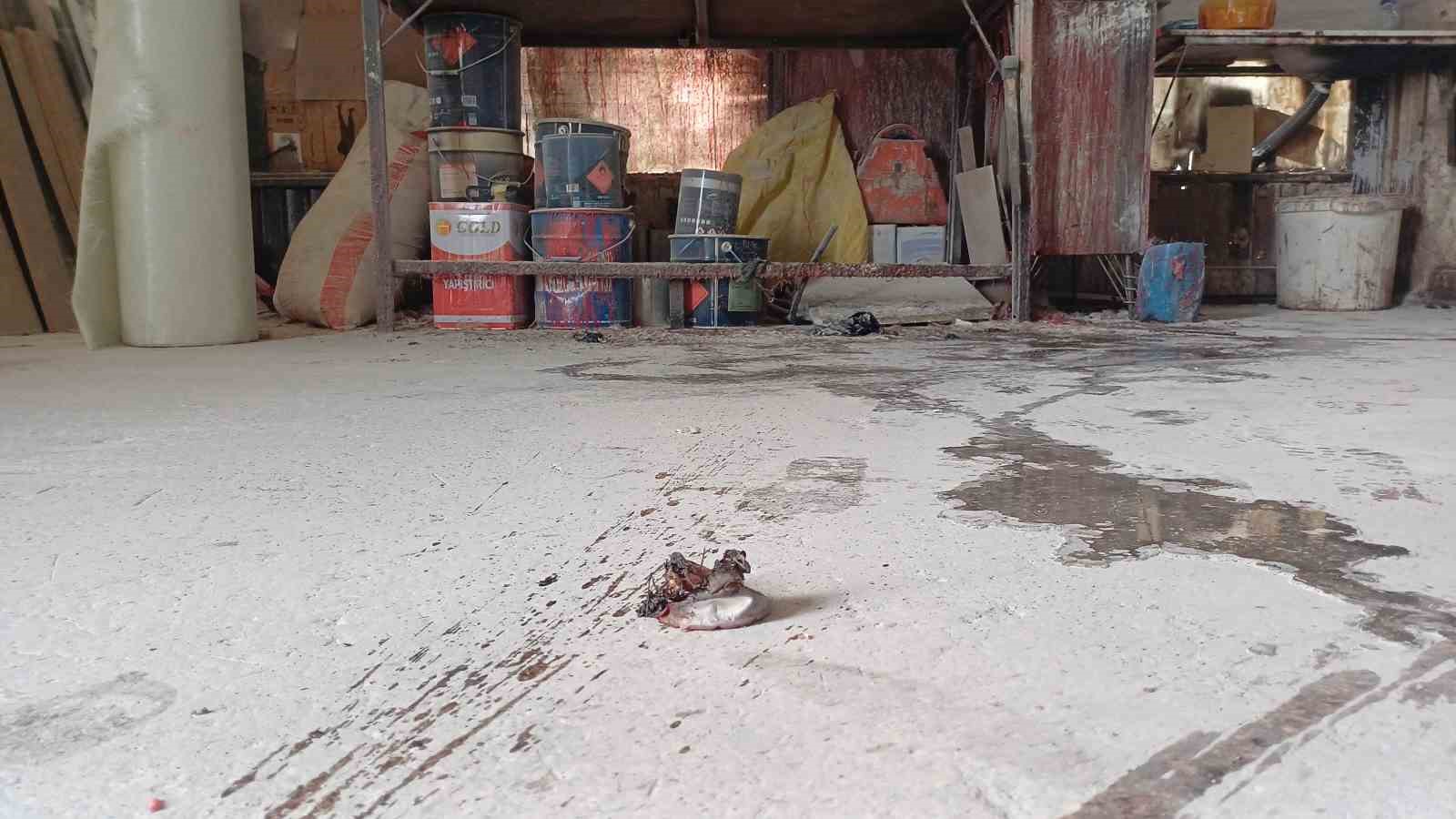 Tinerle sobayı yakarken kendini yaktı