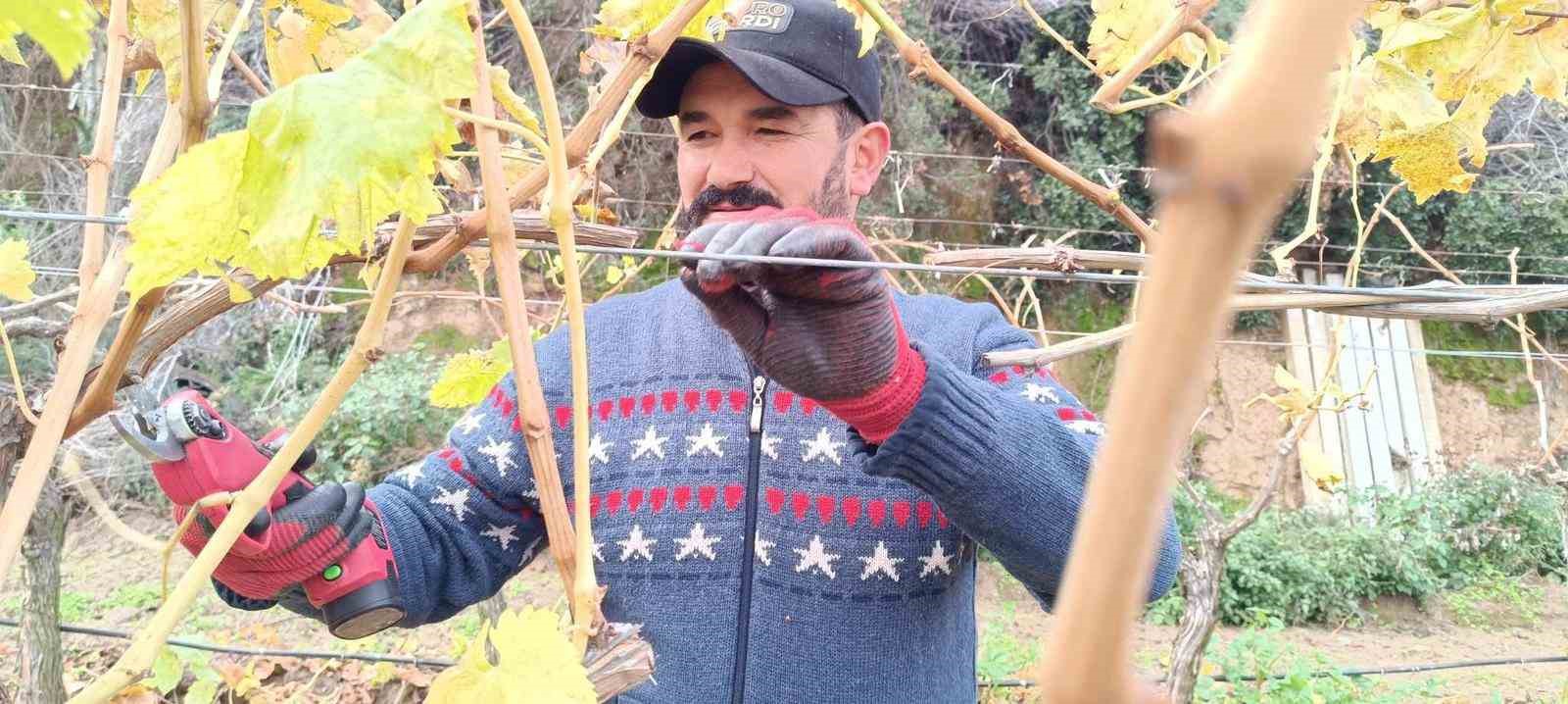 Budama maliyeti üreticiyi ailece bağa indirdi