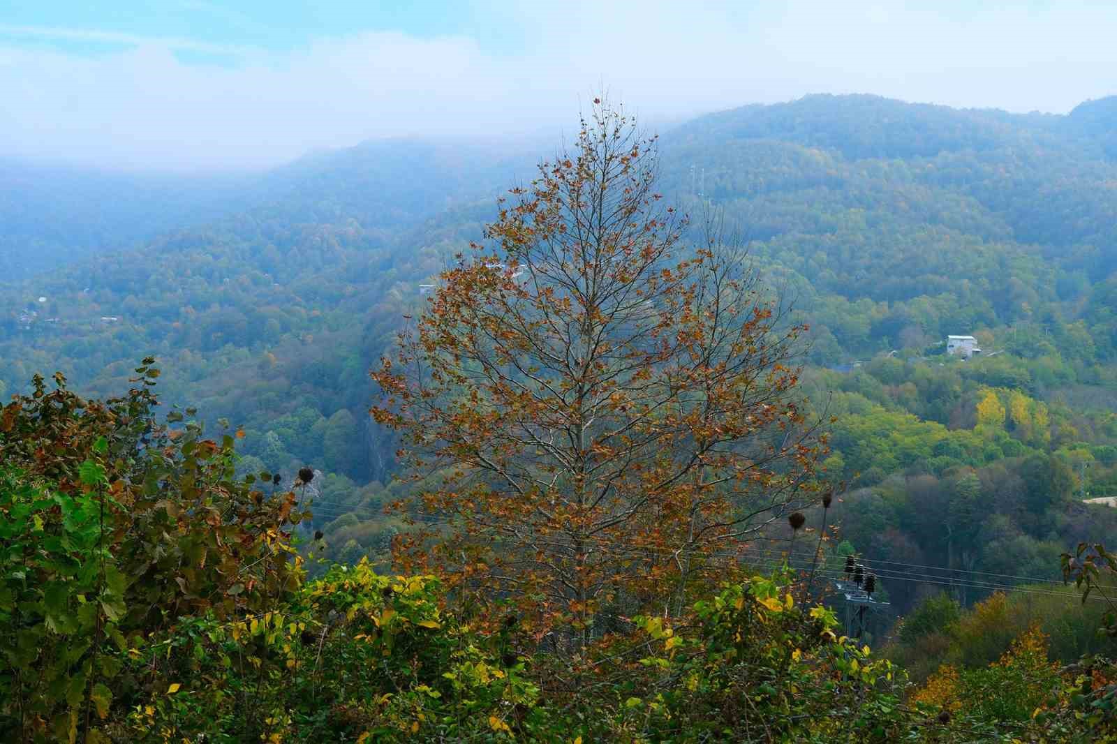 Doğaseverler Sakarya’nın eşsiz doğasını keşfetti
