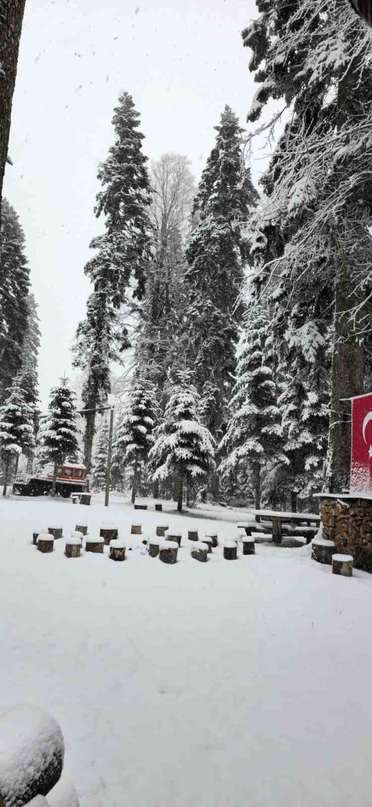 D&uuml;zce&rsquo;nin y&uuml;ksek kesimleri karla kaplandı
