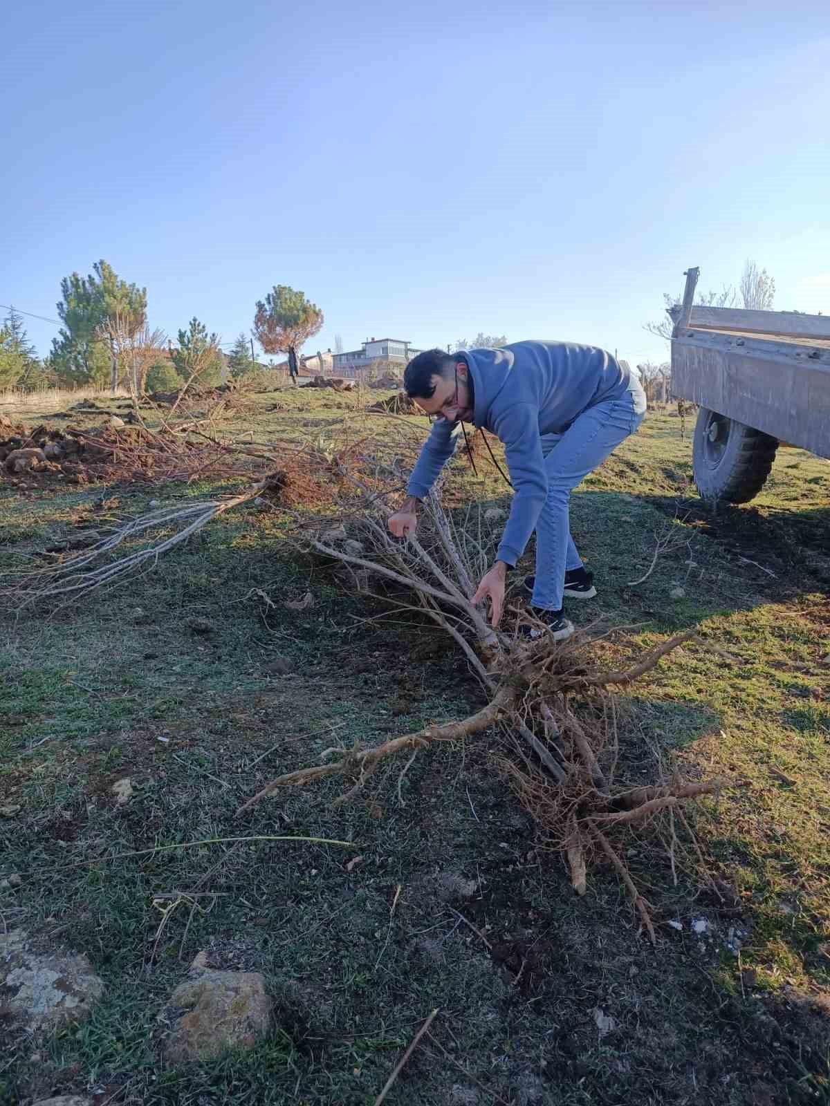 Sandıklılı yarenler badem fidan dikti