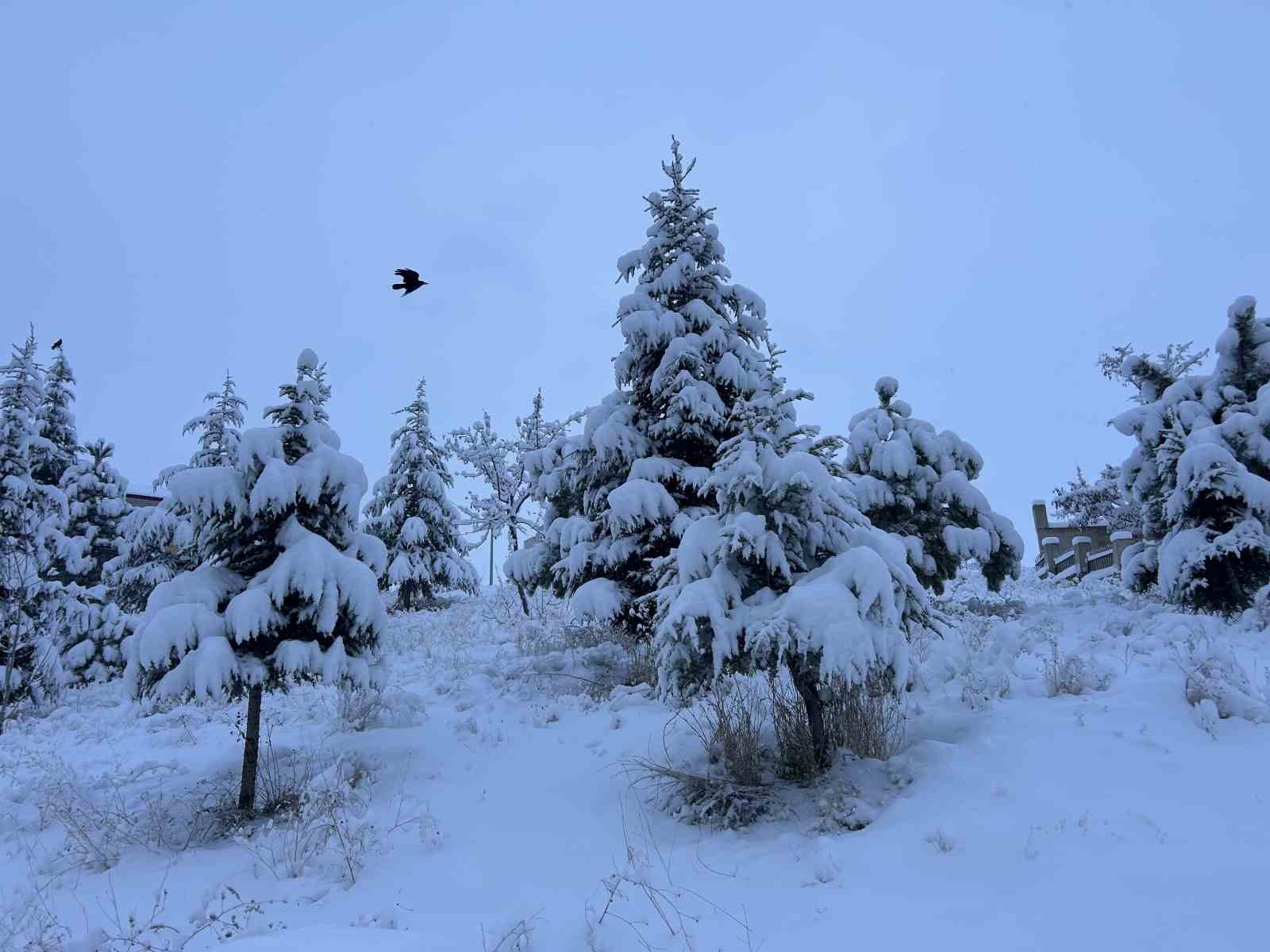 Van’da yoğun kar yağışı: Uçak seferleri rötar yaptı