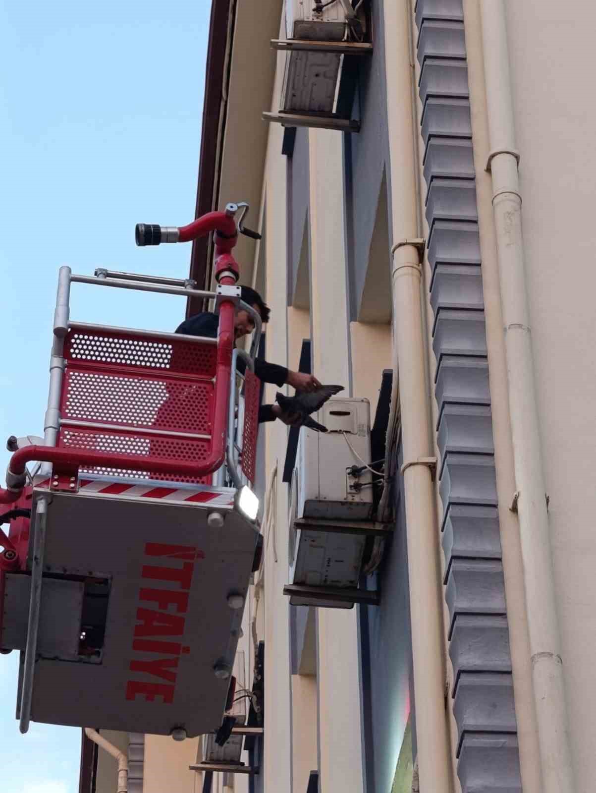 İskenderun’da klima motoruna dolaşan kuş kurtarıldı